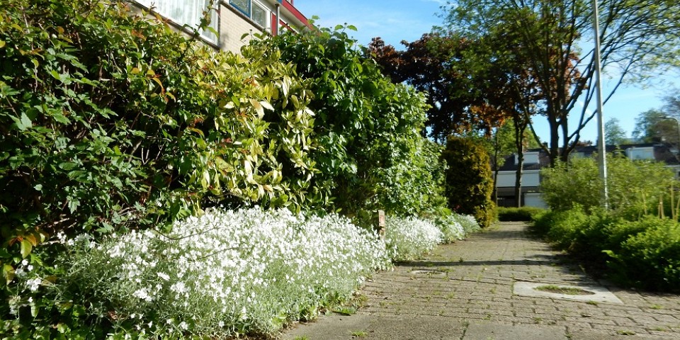 Foto 1